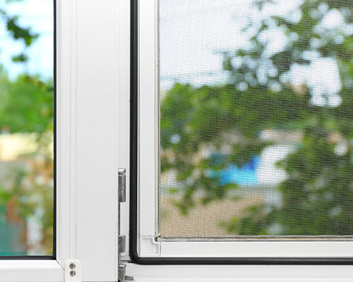 S window